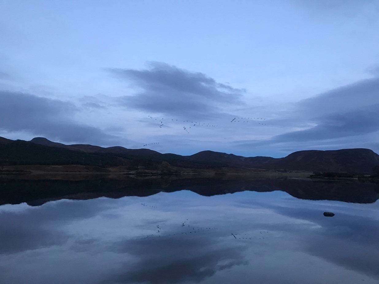 Still loch waters at dusk reflect the dark sky and surrounding hills with birds flying in formation above.