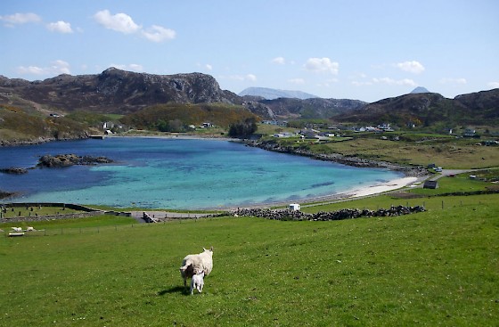 Scourie Bay, Sutherland