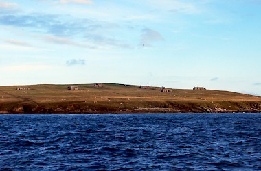 Stroma