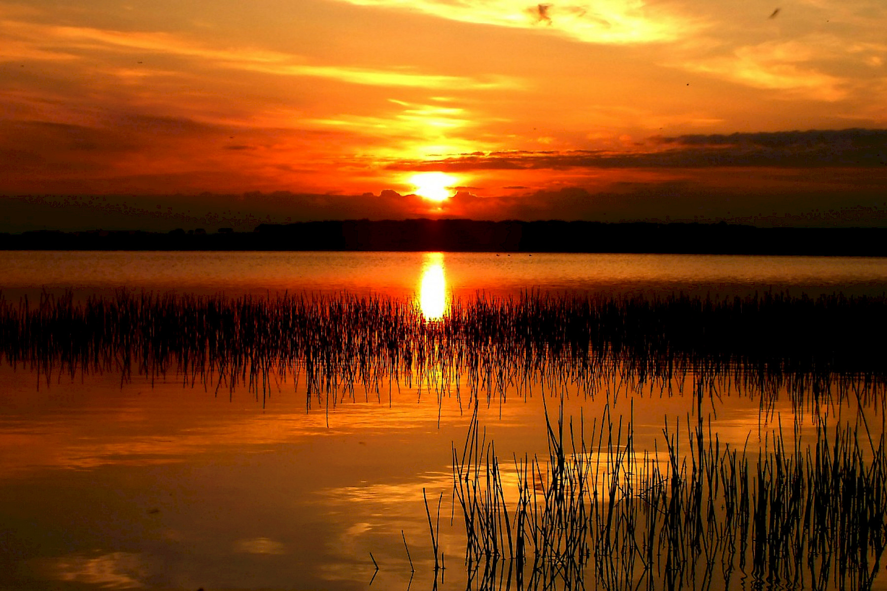 Watten Loch - Fiona Jack