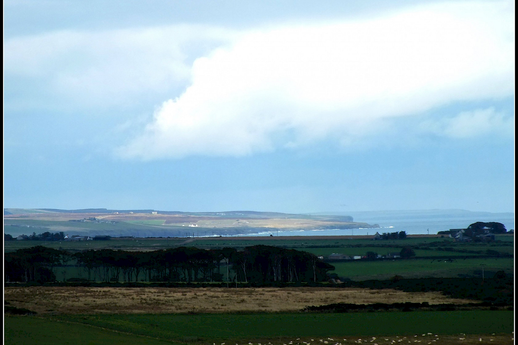 View over Keiss - Fiona Jack