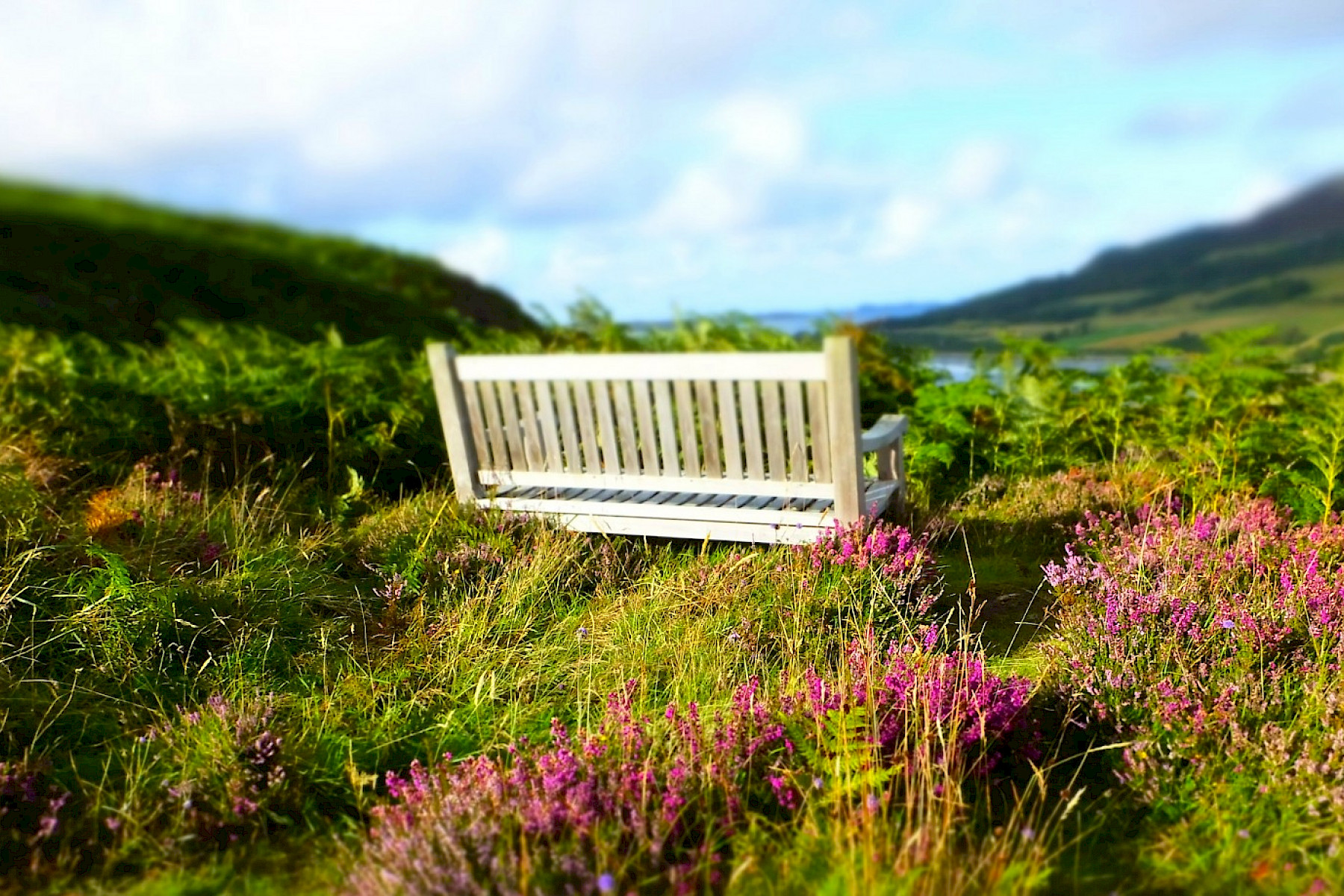 Castle Varrich view point - Fiona Jack