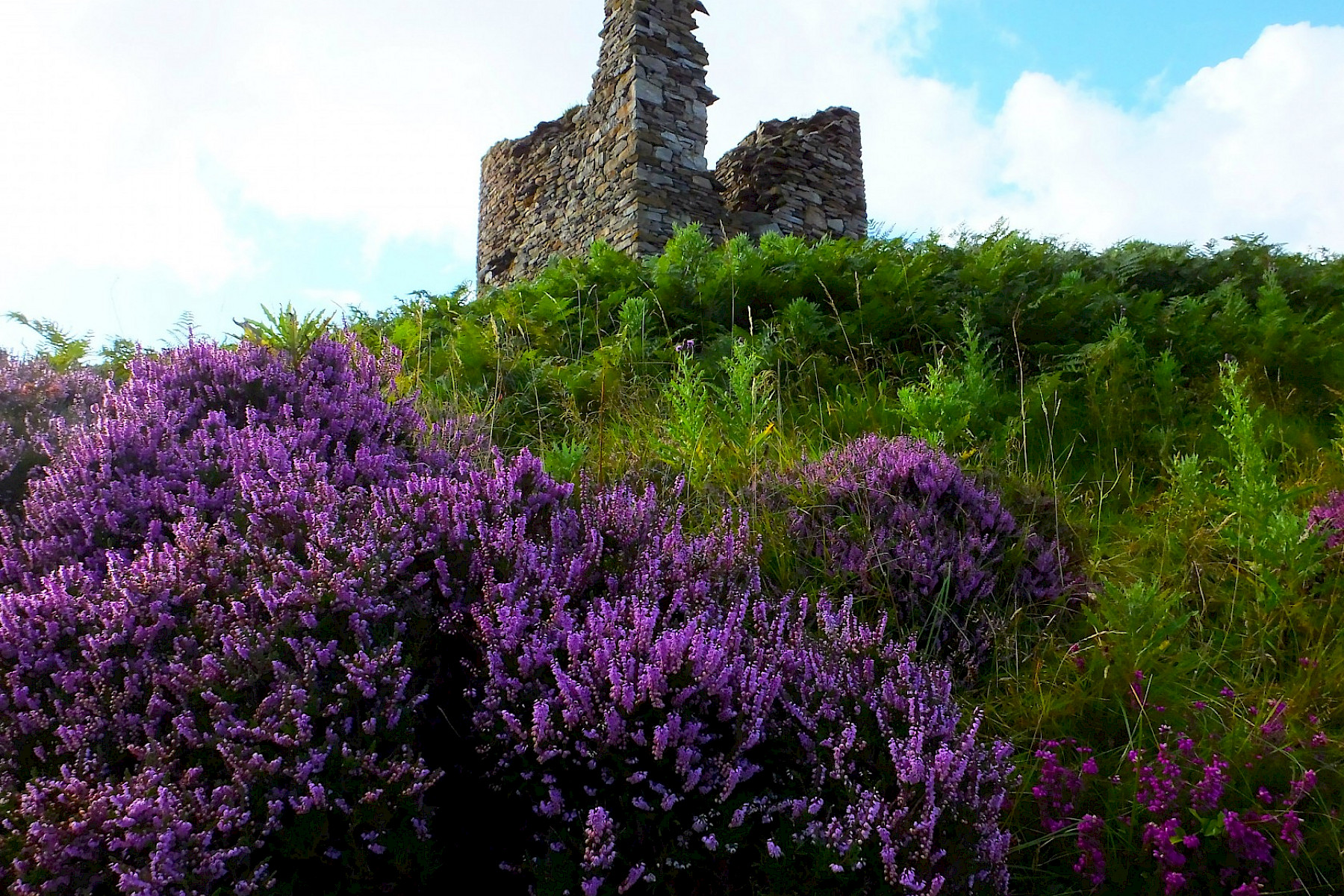 Castle Varrich - Fiona Jack