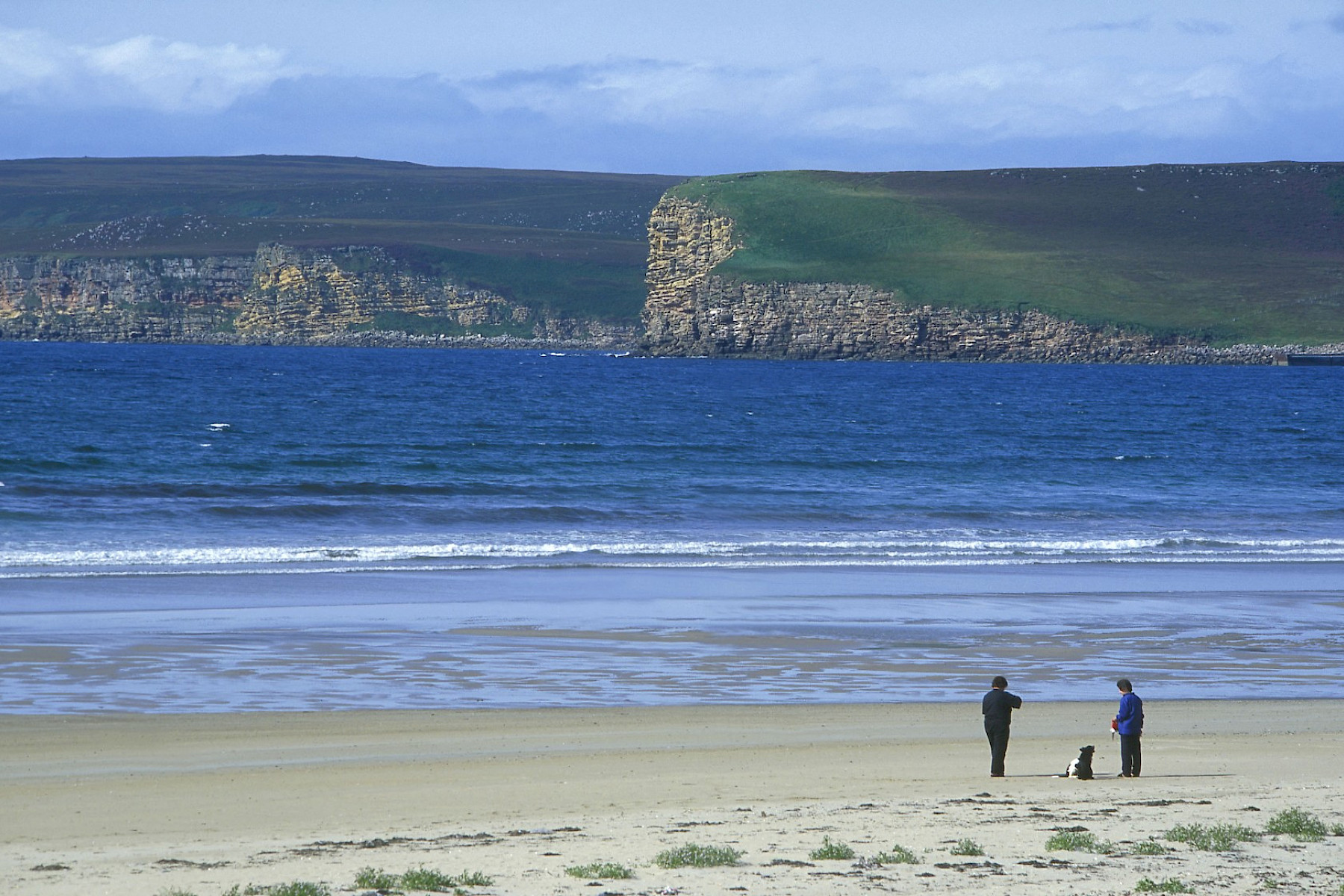 Dunnet Bay - Caithness Biodiversity