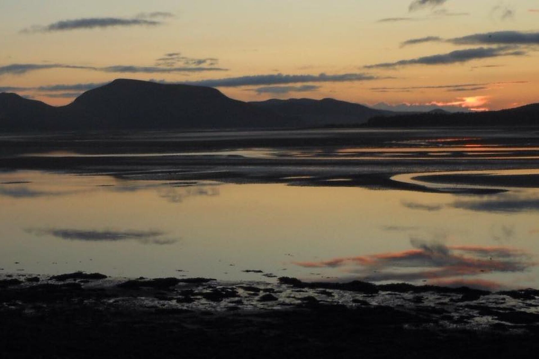 Loch Fleet National Nature Reserve