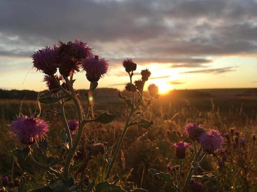Sunrise Caithness and Sutherland by Peedie Prints