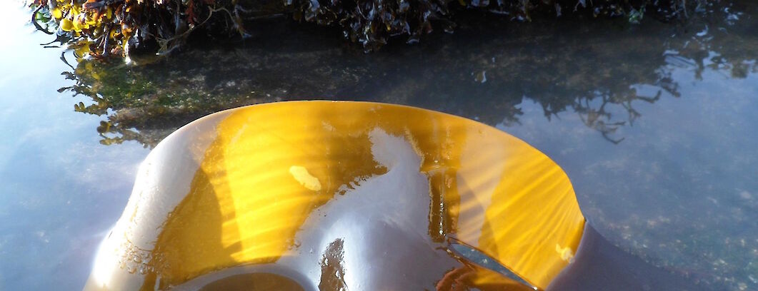 Northshore Pottery Yellow Ceramic Bowl