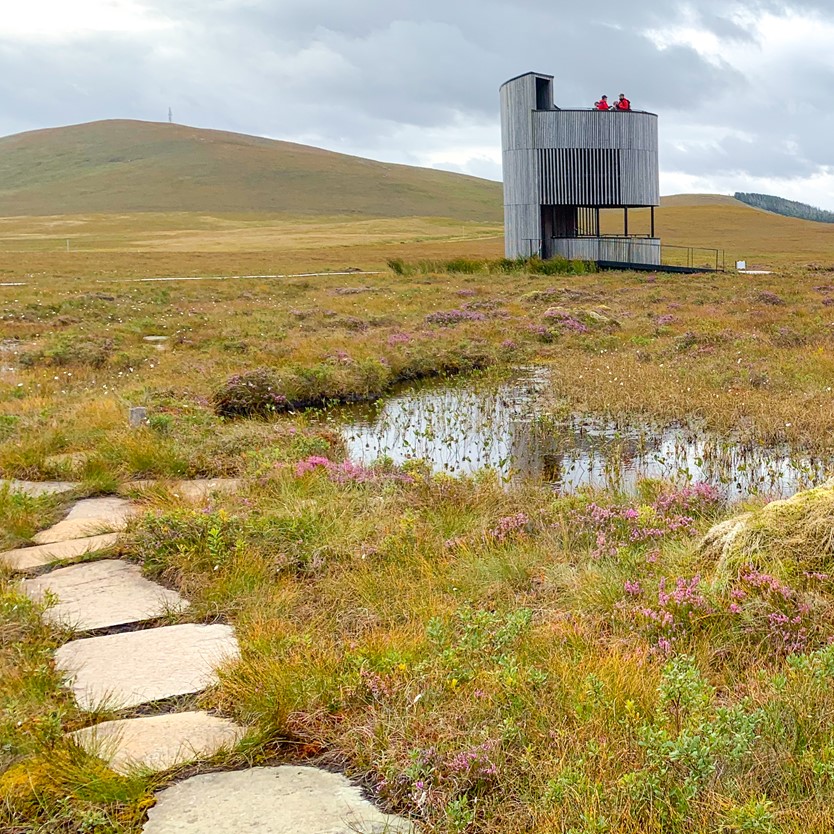Wooden lookout tower stands double-storied against the foreground of marshy bog dotted with bring pink flowers and a background of gentle hills.