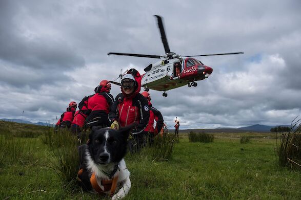 Image: Collie search and rescue dog crouches on the ground with Mountain Rescue volunteers as a helicopter lands behind them.