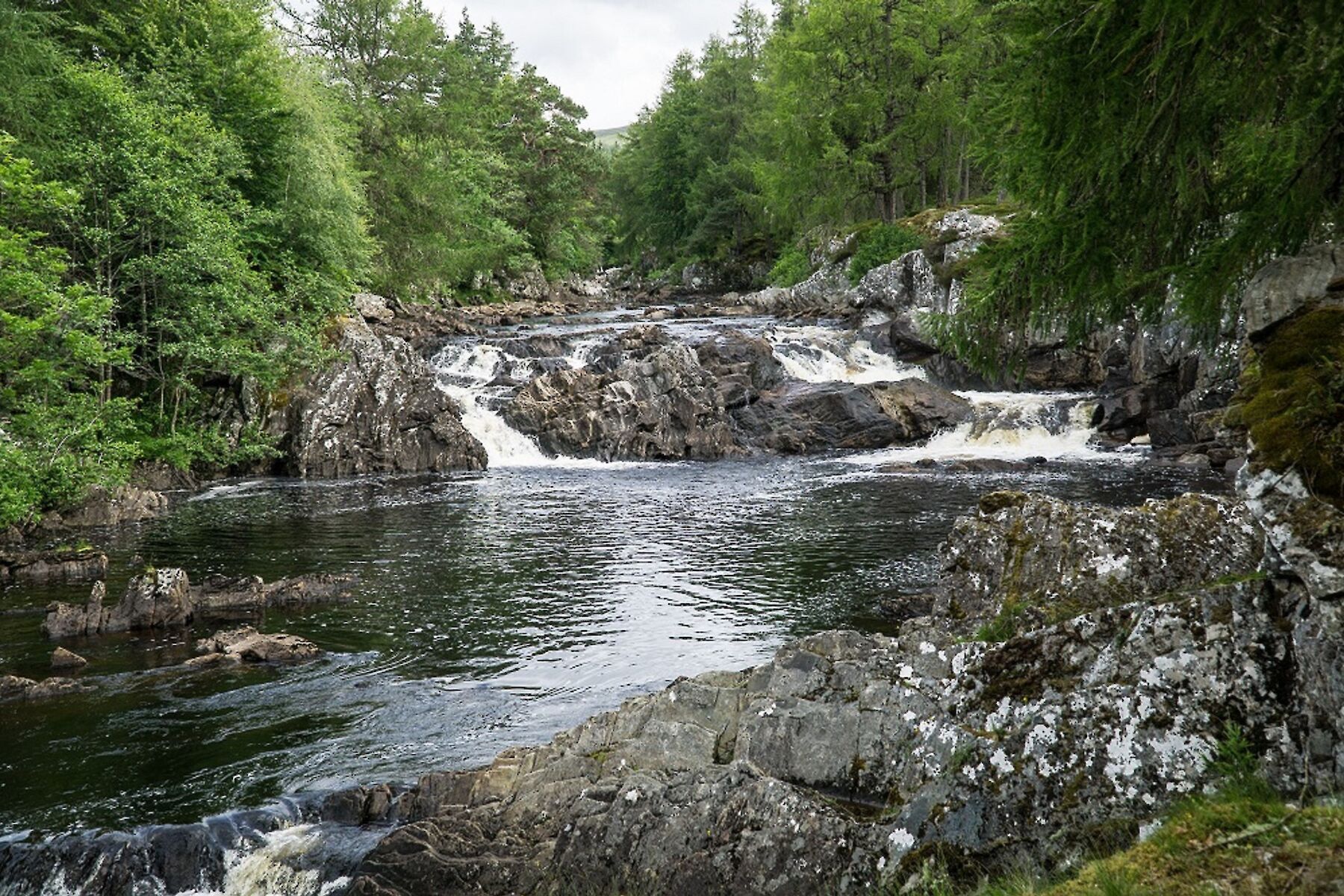 Rosehall image: Cassley Falls - wide low waterfall surrounded by trees.