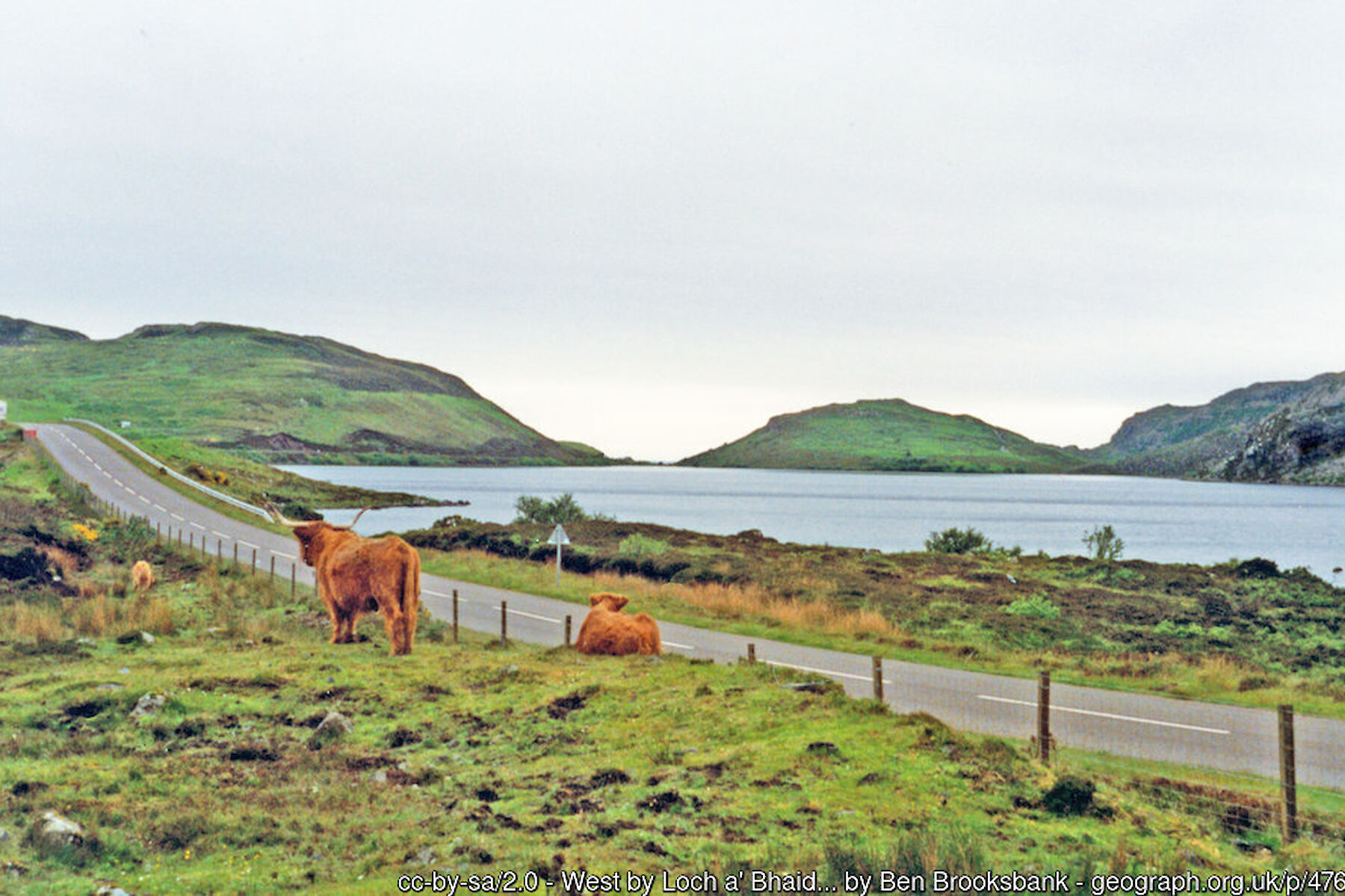 Scourie