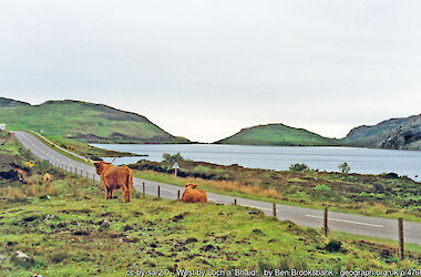 Scourie