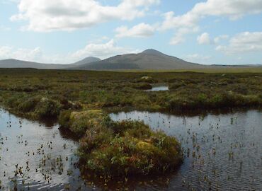 Exploring Caithness and Sutherland: A Glimpse into Lonely Planet's Best in Travel 2024