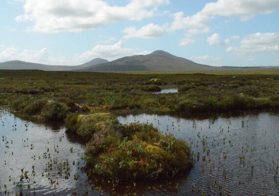 Exploring Caithness and Sutherland: A Glimpse into Lonely Planet's Best in Travel 2024