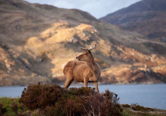 Explore the magic of the North Coast 500 with Highland Coast Hotels' new itineraries