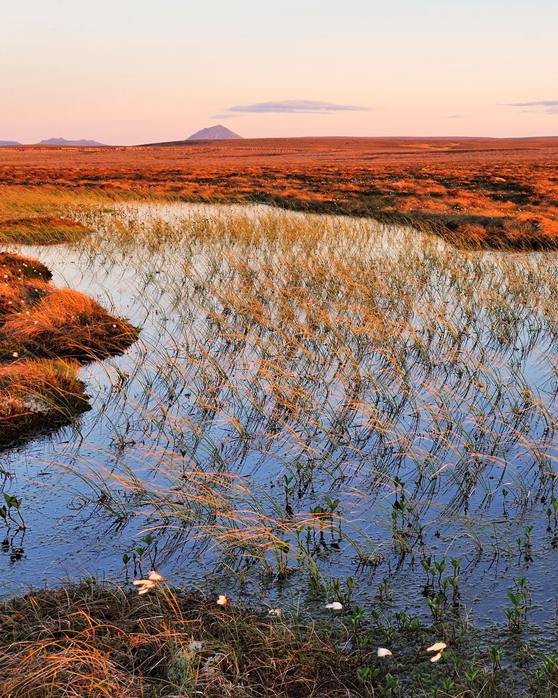 Flow Country, UNESCO World Heritage Site, Flow Country, Sutherland, Caithness, North Highlands, Venture North, Scotland