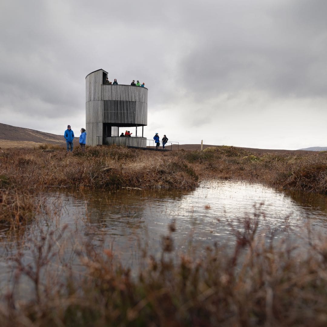 People observing from Forsinard Tower, Sutherland, Nroth Highlands. Things to see North Highlands
