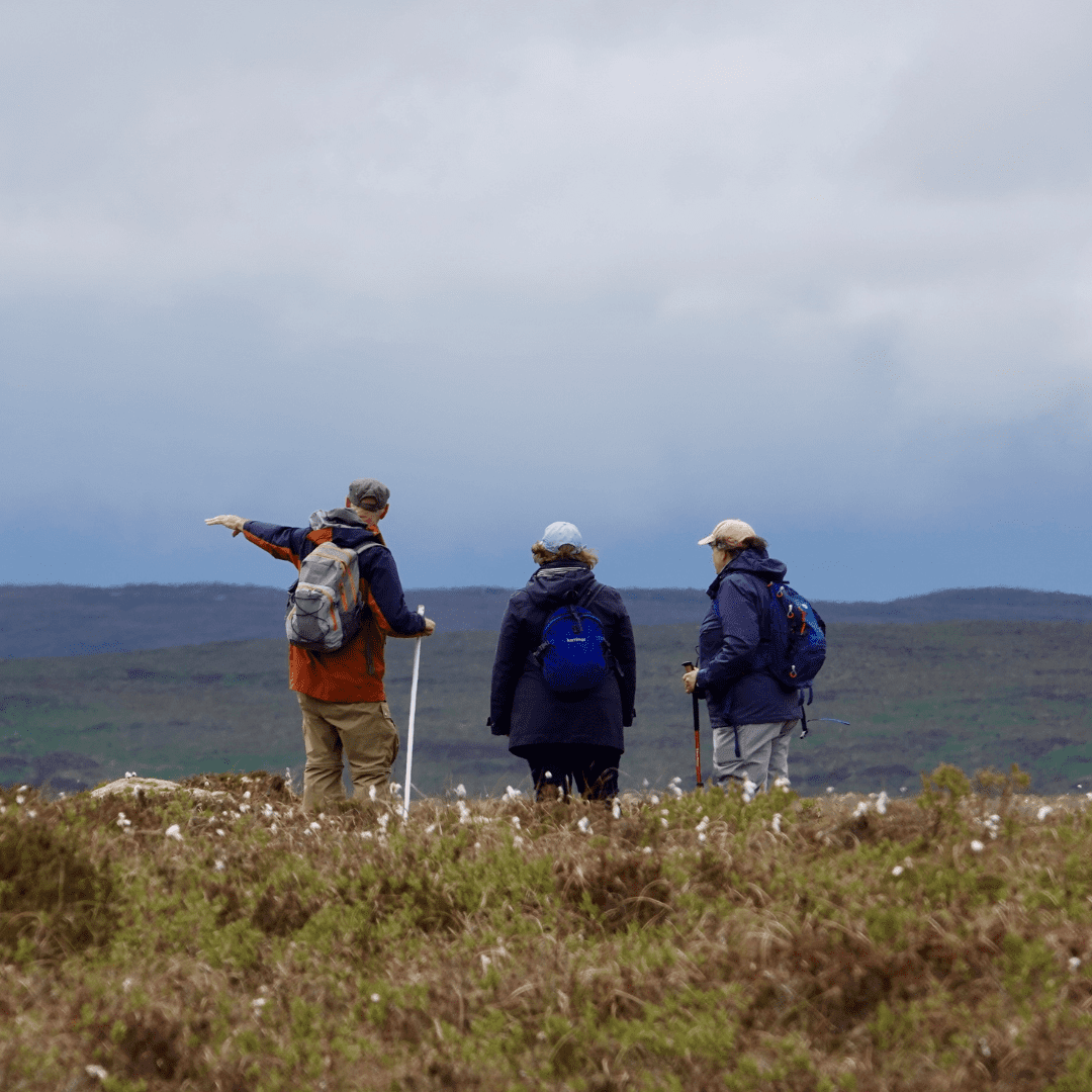 A far North Naturalist guiding tourists, Sutherland, North Highlands