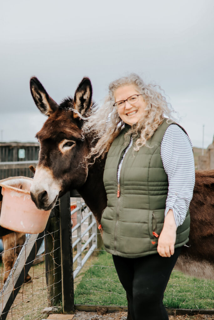 Donkey at Puffin Croft visitor centre at John O'Groats, North Highlands