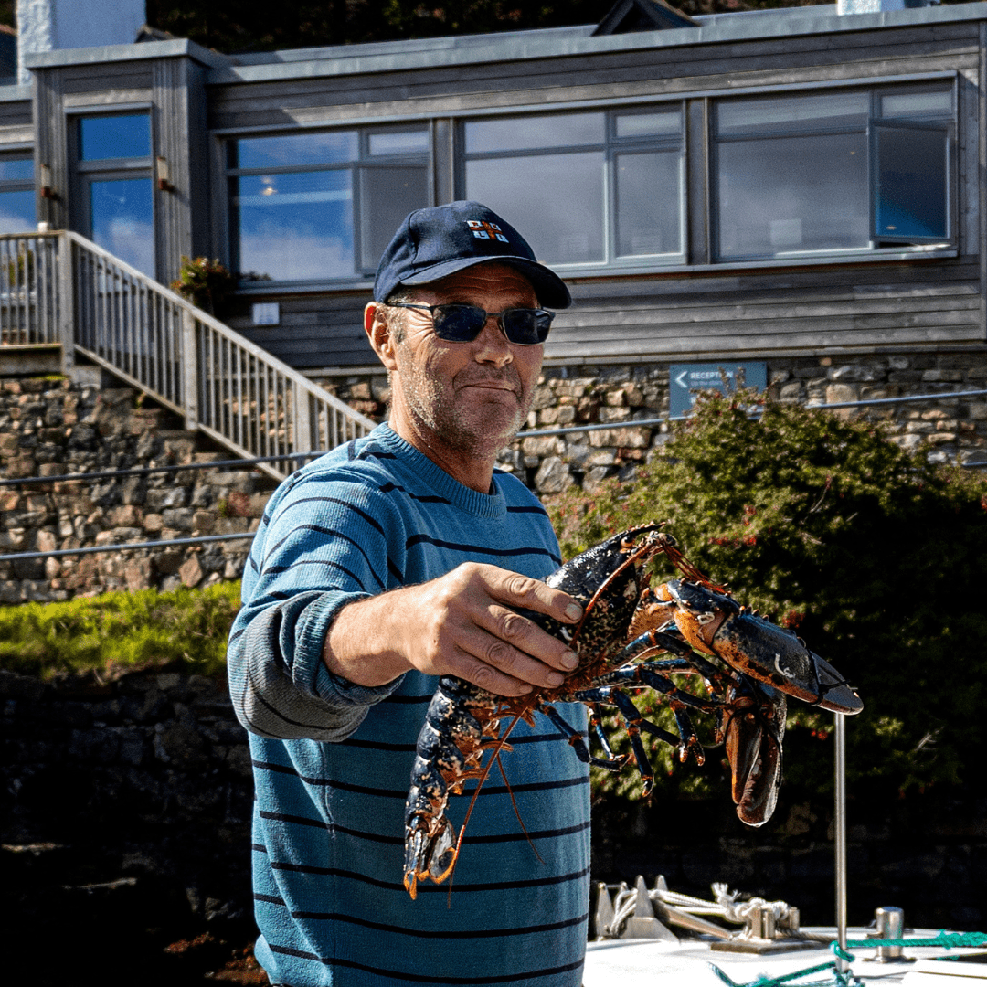 Freshly caught lobster at Kylesku Hotel, Sutherland, North Highlands. Local Scottish seafood, West Sutherland
