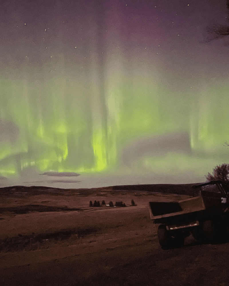 Aurora over Rogart, with green lights lighting up the sky, in Sutherland Scotland.