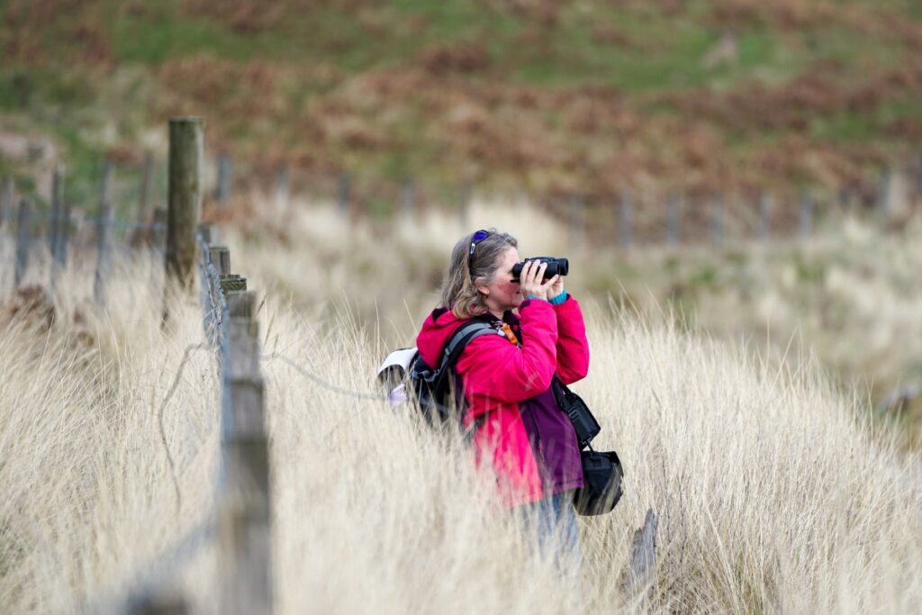 Woman using binoculars to observe the North Highlands landscape and wildlife in autumn.