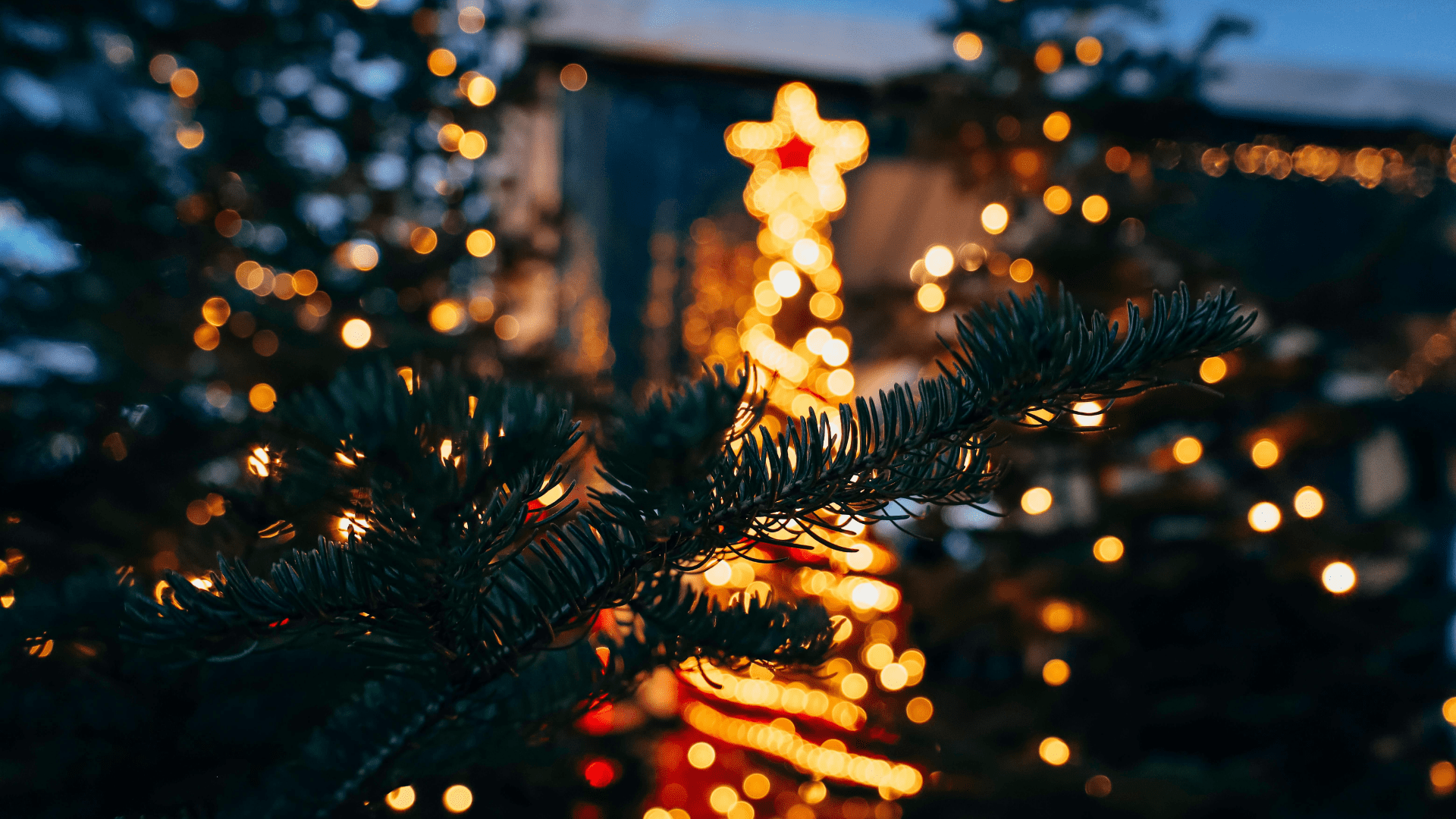 christmas tree lights