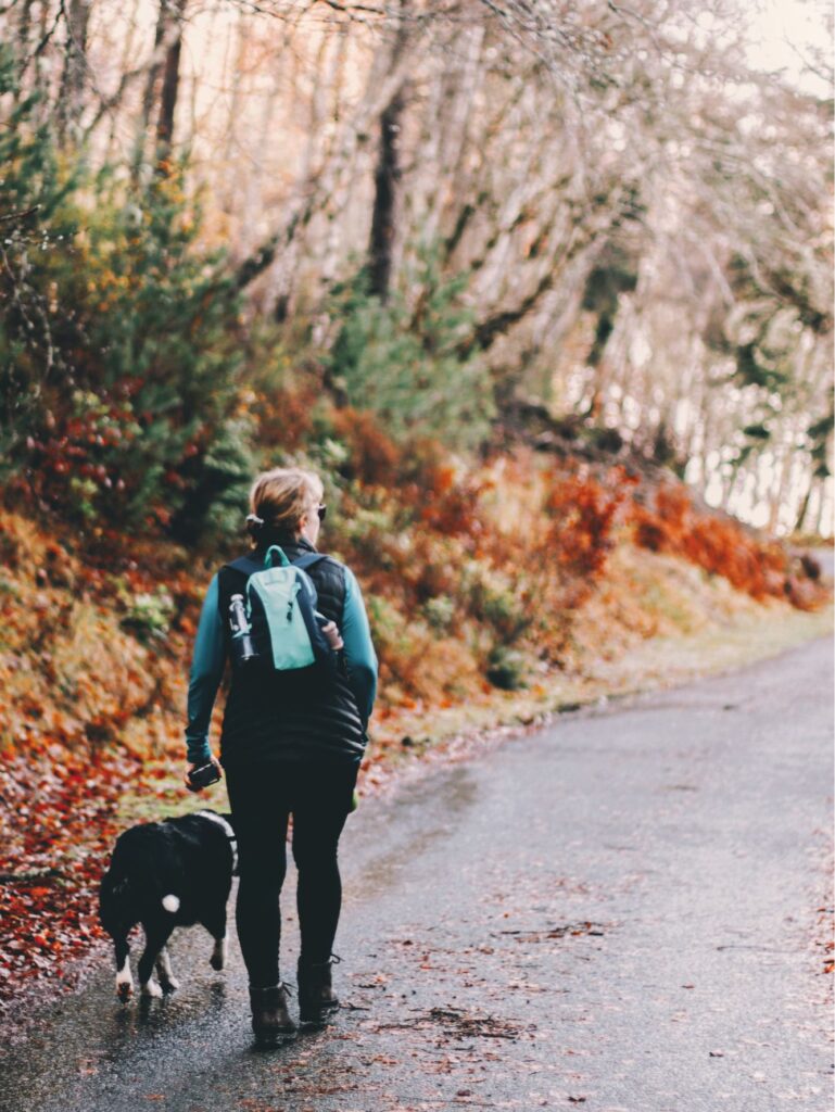 A walker and dog walking along a path with fallen autumn leaves