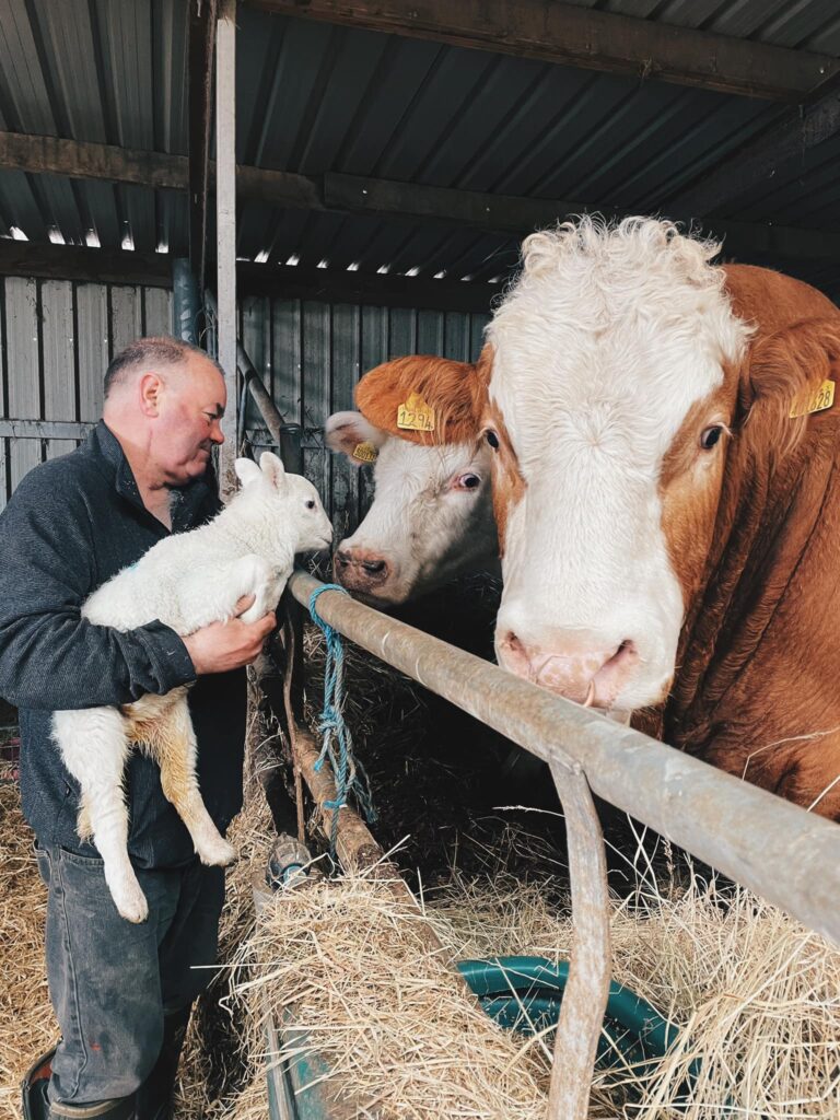 Crofter and animals, highland agritourism experience