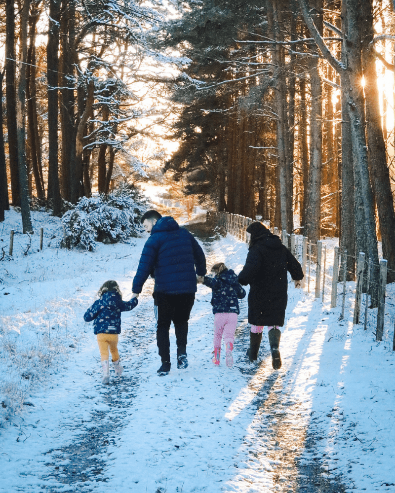 A family with two young children walking through snowy woods with golden sunlight coming through the trees in Little Ferry Woods, Sutherland, Scotland
