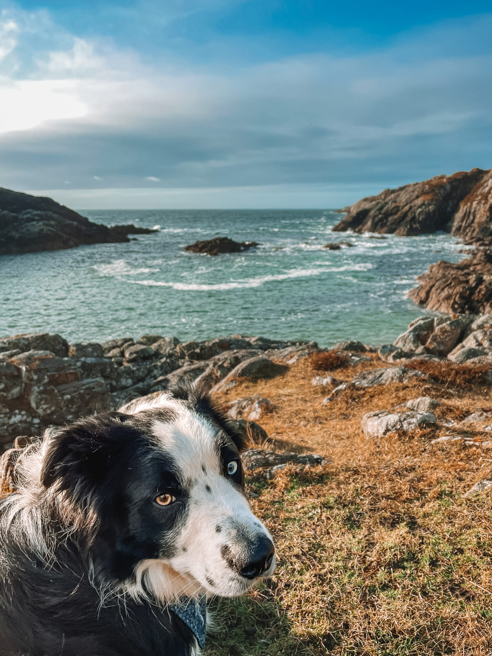 Dog Friendly Walks at Achmelvich, North West Sutherland