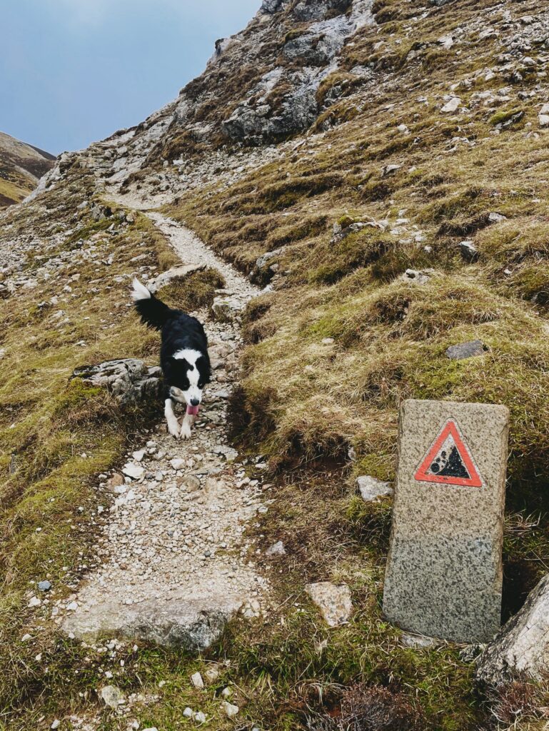 Dog walking at Inchnadamph Bone Caves, North West Sutherland