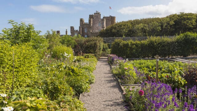 The Castle of Mey was built by George, the 4th Earl of Caithness, in 1573. HM Queen Elizabeth The Queen Mother purchased the castle in 1952. The castle and garden tour is complimented by an animal centre, gift shop and tearoom.