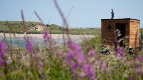 A travel sauna viewed from behind purple flowers, thebeach is within view, located pn Castletown Beach, in the North ighlands