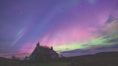 Northern Lights in vibrant purple, pink, and green hues illuminating the night sky above a rural cottage in Sutherland, Scotland.