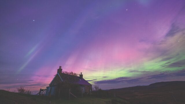 Northern Lights in vibrant purple, pink, and green hues illuminating the night sky above a rural cottage in Sutherland, Scotland.