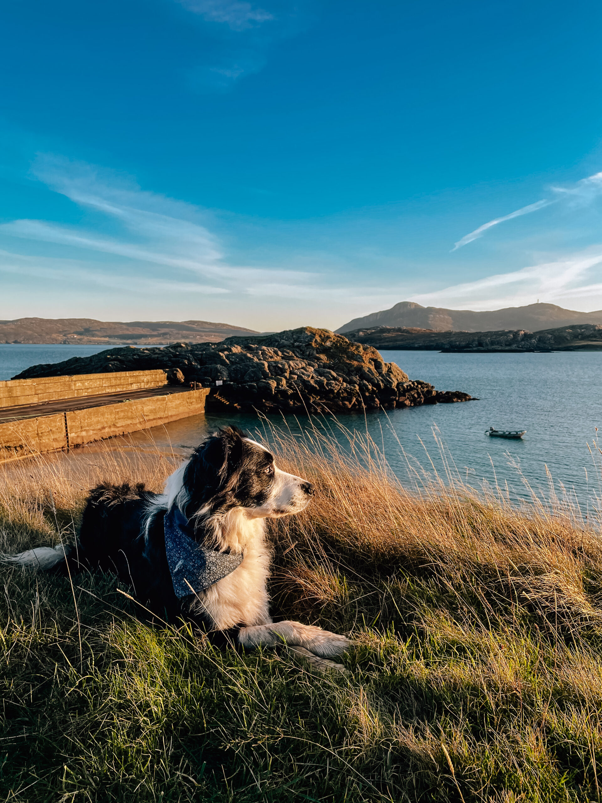 Dog beach at Talmine Pier, North Sutherland