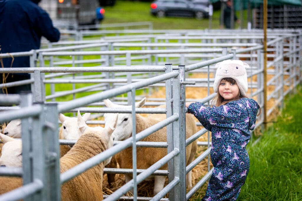 Children enjoying the livestock at Caithness Agricultural Show, a family friendly summer event in the North Highlands
