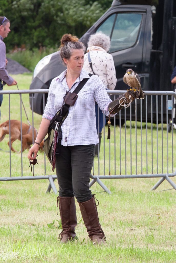 Birds of prey display at Thrumster Game and Countryside Fair in Caithness, North Highlands