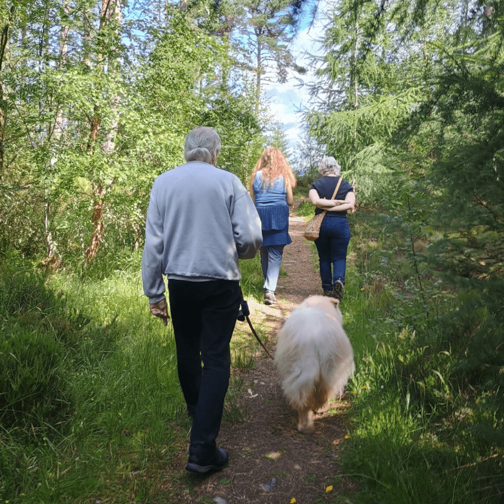 People and a dog walking through Gunns Woods in Lairg